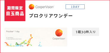 期間限定目玉商品