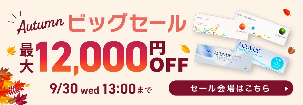 秋のビッグセール