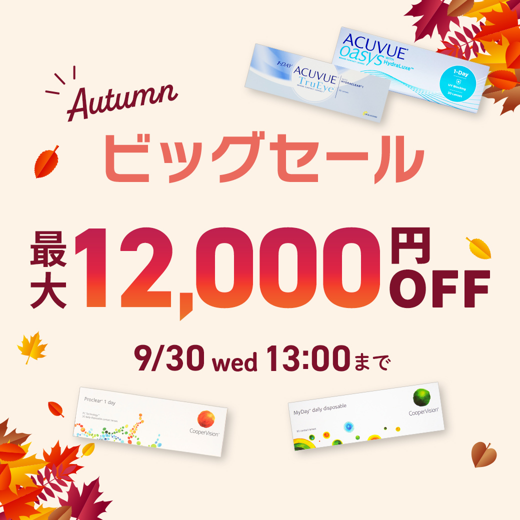 秋のビッグセール
