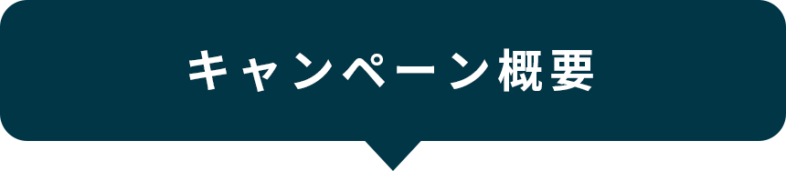 キャンペーン概要